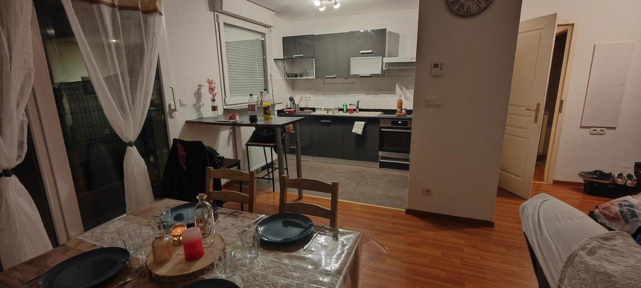 Appartement Rez-De-Chausse Dans Une Petite Ville Au Pied Du Massif Des Vosges Saverne Luaran gambar